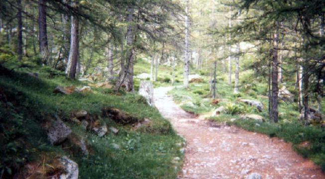 Valle delle Orchidee